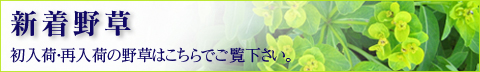 ���������Ϥ����餫�餴��������